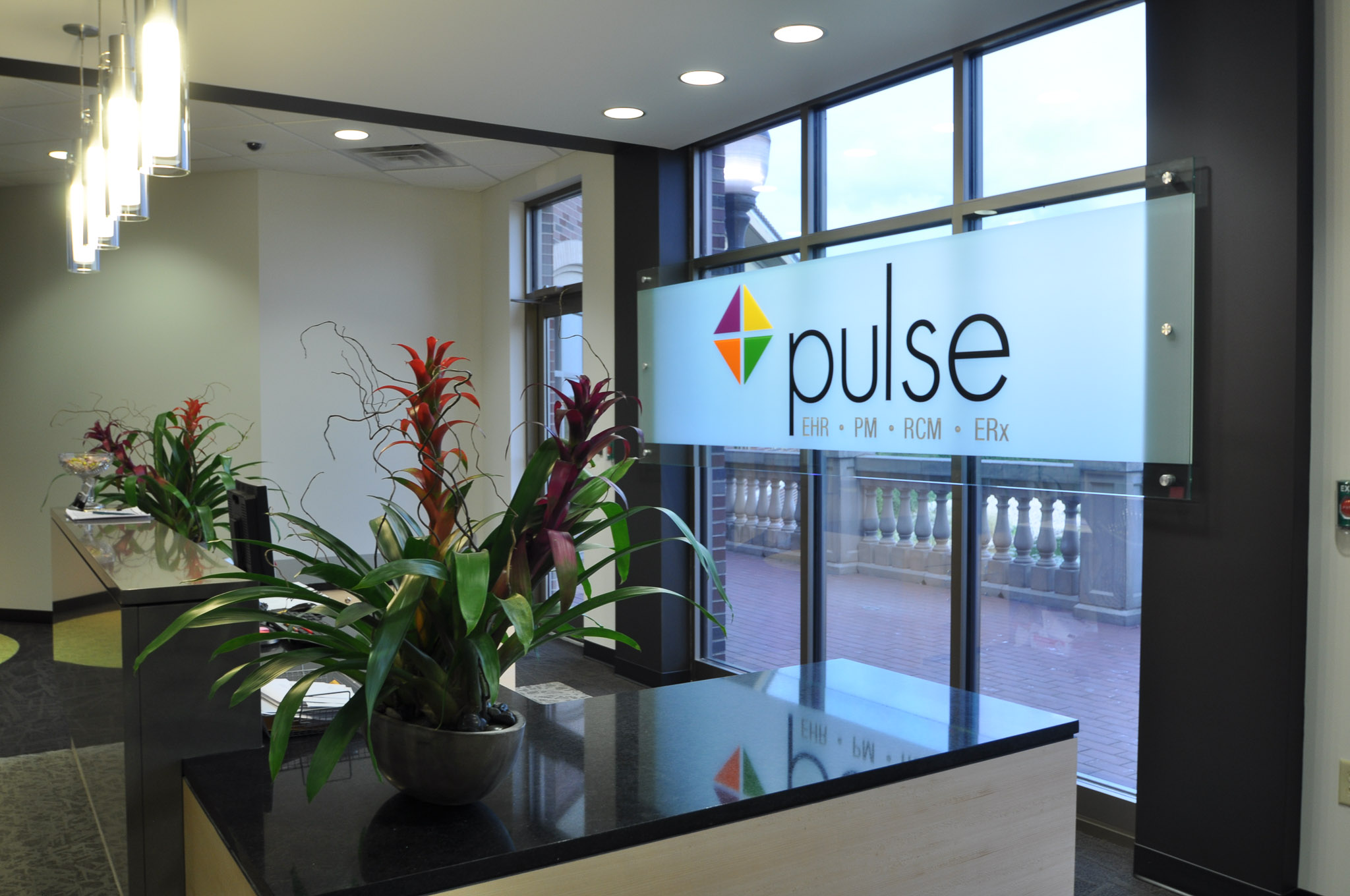 PULSE Systems, Inc 3020 N Cypress Dr